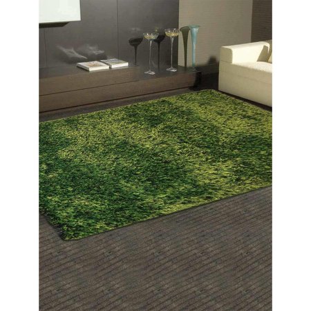 JENSENDISTRIBUTIONSERVICES 5 x 8 in. Hand Tufted Shag Polyester Rectangle Area Rug Solid, Green MI2100167